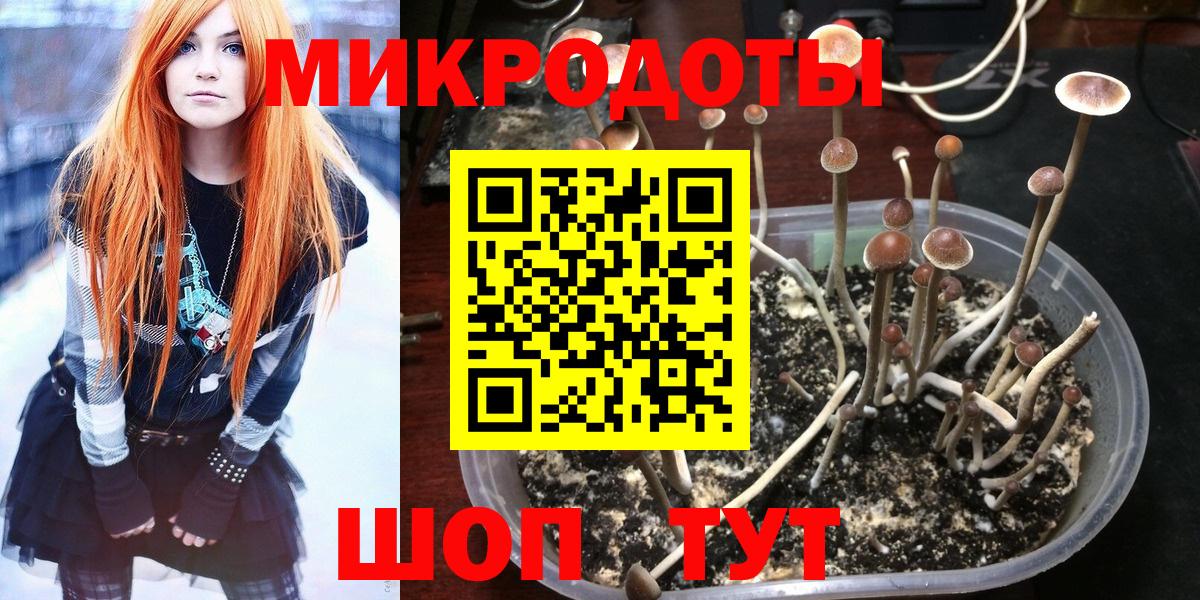 Галлюциногенные грибы Cubensis  Псилоцибиновые грибы Magic Shrooms  цена наркотик  Вход с VPN  Люберцы 